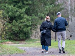 Wiosenny Ogród Botaniczny w Łodzi. Spacer wśród budzącej się do życia przyrody