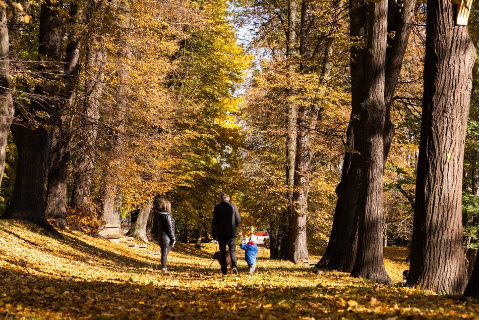Łódź. Park Helenów w Łodzi w jesiennej odsłonie. Spacer w tym miejscu to czysta przyjemność