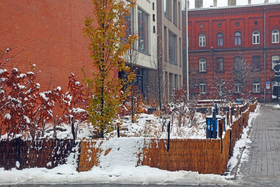 Łódź. A co to za chochoły? Zimowe wiązanie traw ozdobnych w Łodzi jest potrzebne