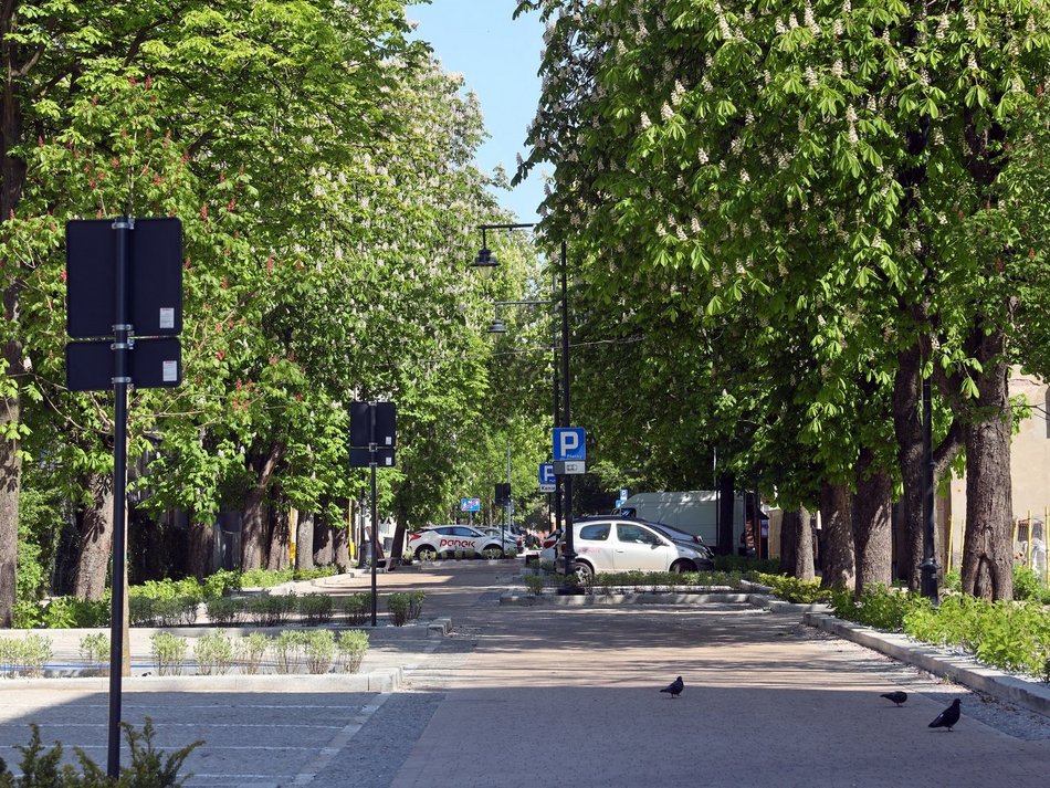 Łódź. Woonerf na ul. 28 Pułku Strzelców Kaniowskich w Łodzi