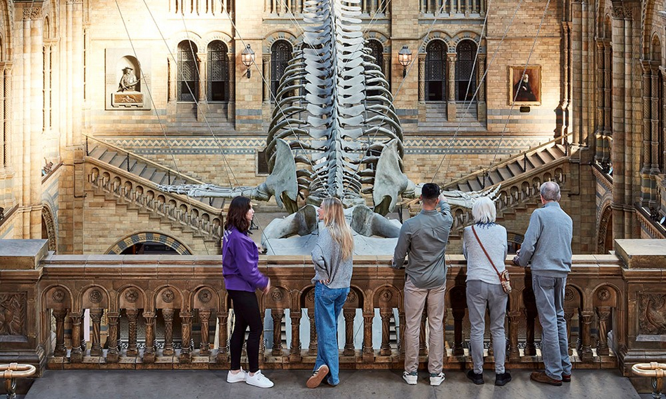 Łódź. TOP 19 muzeów, do których polecisz z lotniska w Łodzi. Madame Tussauds, Kuba Rozpruwacz i Picasso