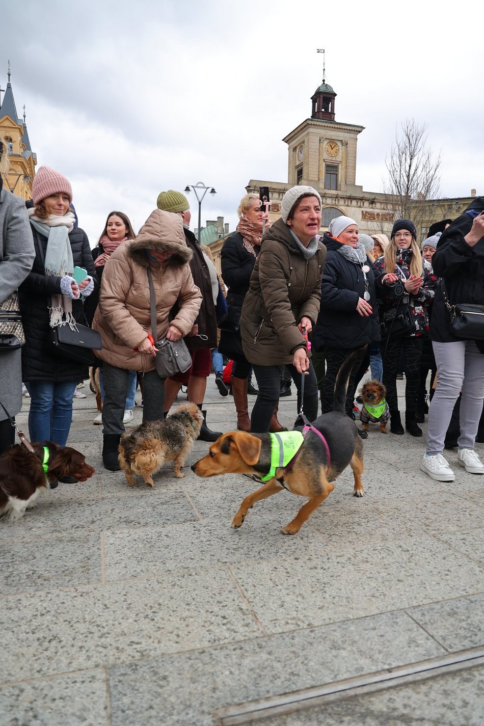 Parada Kundelków w Łodzi