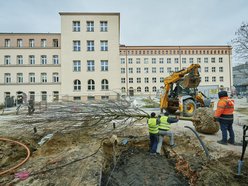 Pasaż Schillera będzie zielony!