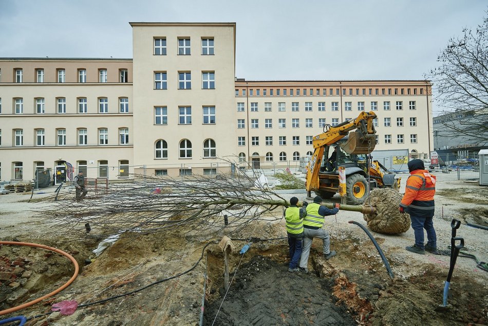 Pasaż Schillera będzie zielony!