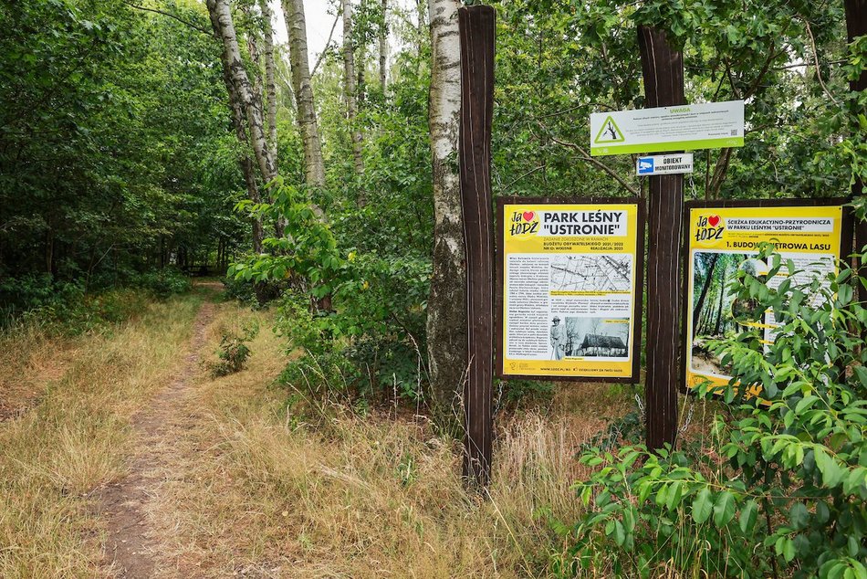 Łódź. Nowy park leśny w Łodzi! Mieszkańcy Dorabialskiej zyskali zieloną oazę!
