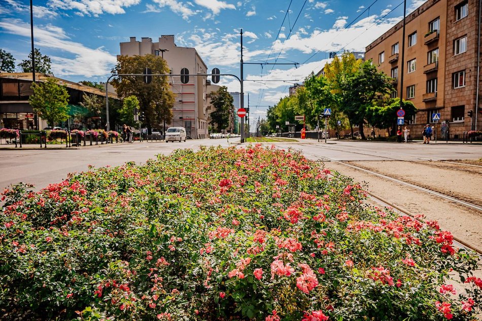 Łódź. Wrzesień w Łodzi potrafi zaskoczyć! Miasto wciąż tętni kolorami i zapachem kwiatów