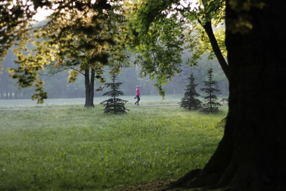Gdzie grillować w Łodzi? Majówka z bliskim na łonie natury