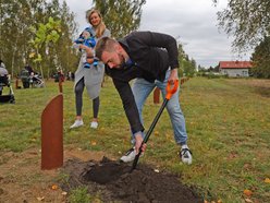 Rozrasta się Las Młodej Łodzi. Sadzenie drzew