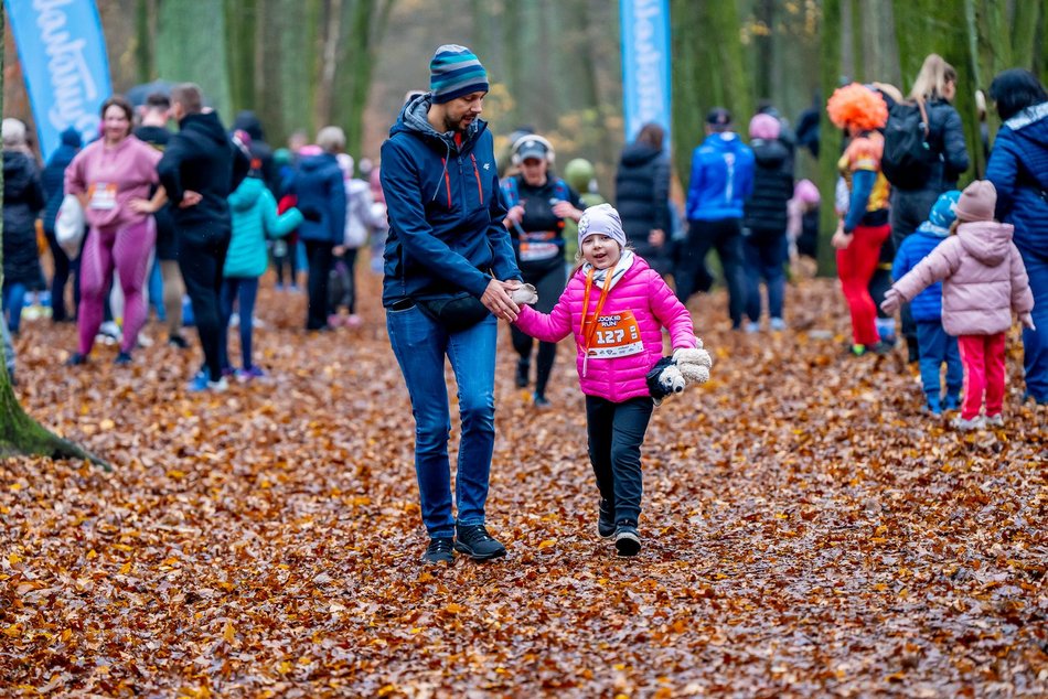 Cookie Run w Lesie Łagiewnickim w Łodzi