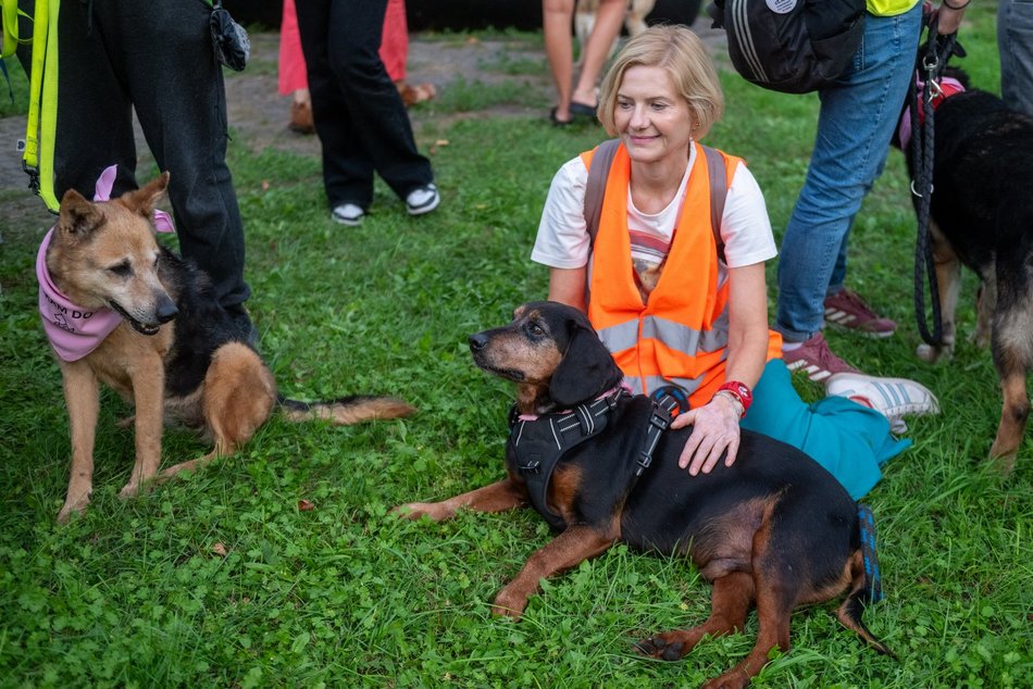 Łódź. Ostatni Psia Polówka w Łodzi za nami. Nic słodszego dziś nie zobaczysz!