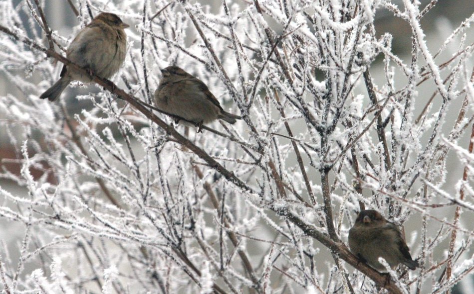 Łódź. Co robić w weekend w Łodzi?