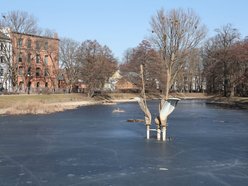 Remont Parku Reymonta w Łodzi. Na co przeznaczą 250 tys. złotych dofinansowania?