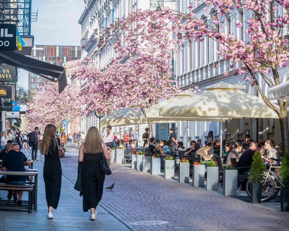 Łódź. TOP 10 woonerfów w Łodzi! To prawdziwe oazy zieleni w centrum miasta
