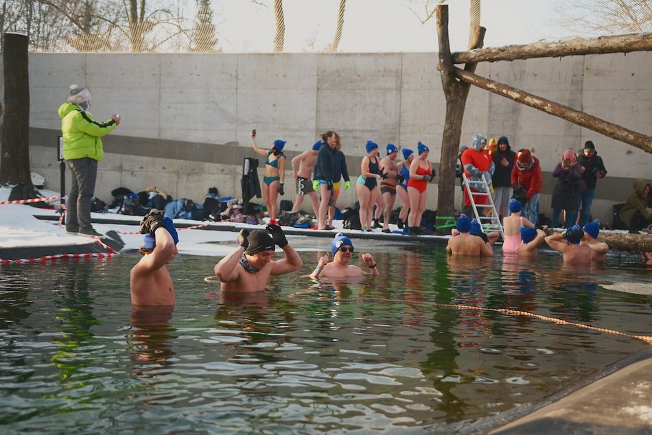 Łódź. Miłośnicy zimnych kąpieli w Orientarium Zoo Łódź