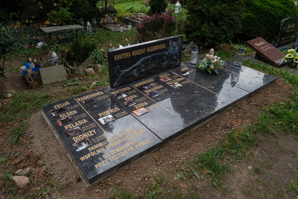 Cmentarz dla zwierząt w Łodzi