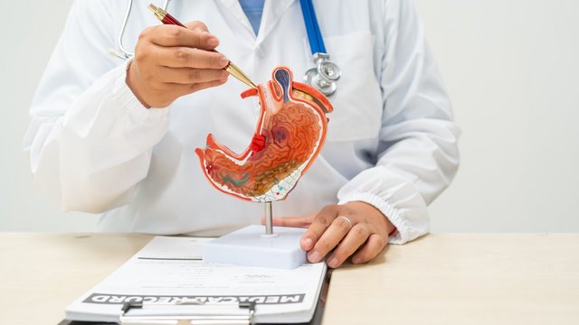 Ból brzucha po Świętach? Zobacz, gdzie w Łodzi znaleźć pomoc gastroenterologów [SZCZEGÓŁY]