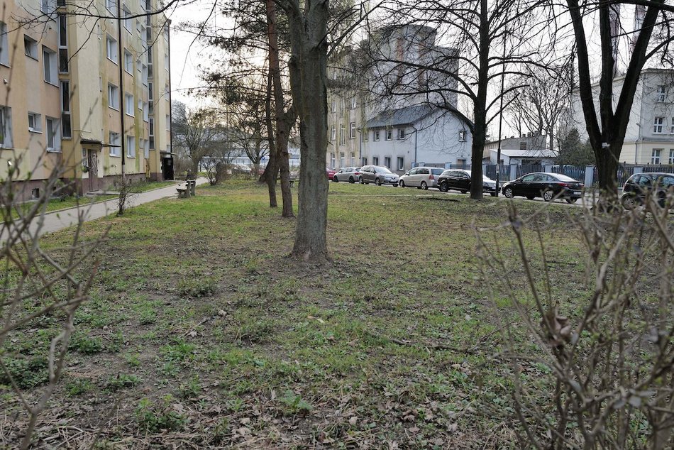 Łódź. Ulica Skrzywana w Łodzi będzie jeszcze zieleńsza! Nowy skwer w ramach Budżetu Obywatelskiego Łódź