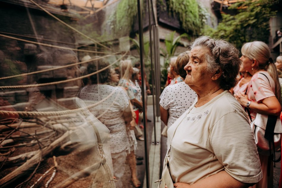 Łódź. Darmowe wejście do Orientarium Zoo Łódź dla seniorów. Nawet trzy wizyty rocznie!