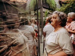 Łódź. Darmowe wejście do Orientarium Zoo Łódź dla seniorów. Nawet trzy wizyty rocznie!