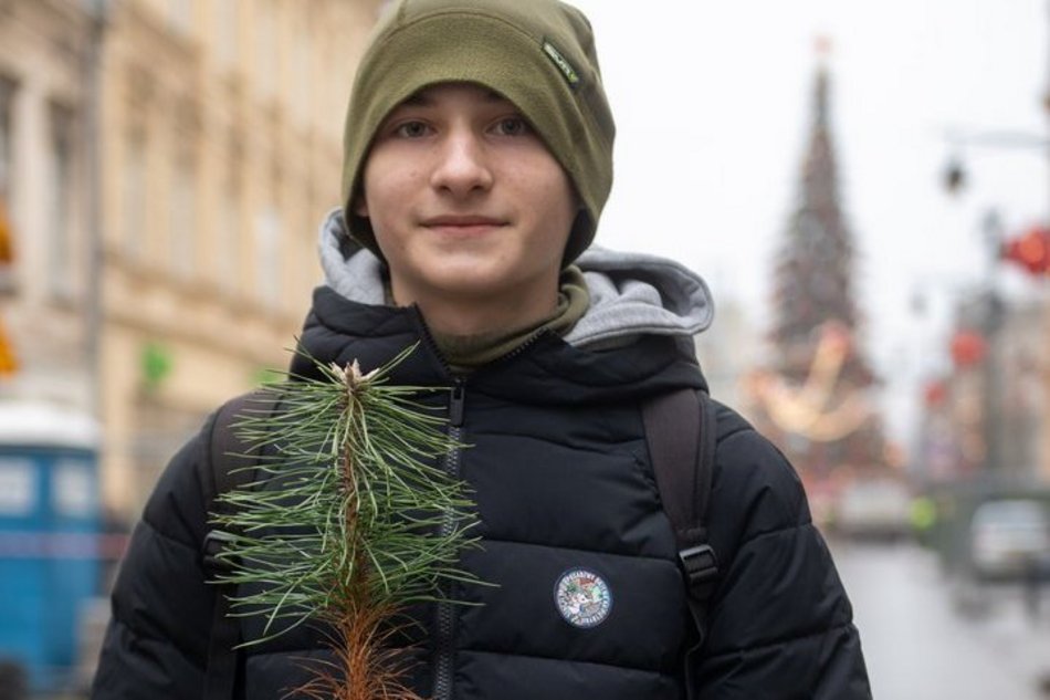 Łódź. Drzewa na Piotrkowskiej w Łodzi posadzone! Łodzianie uczestniczyli w imprezie