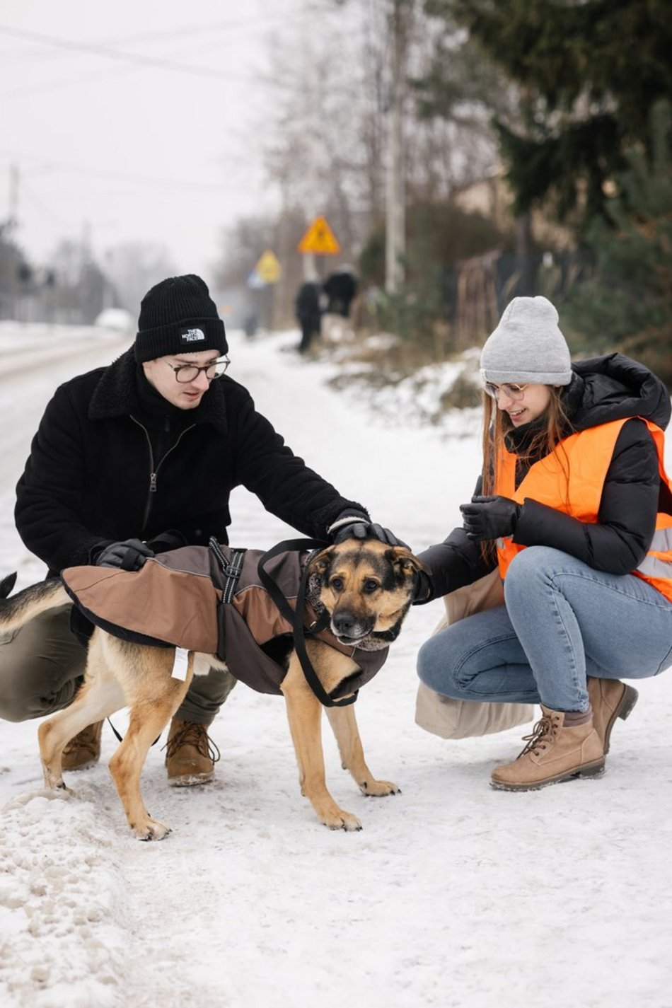 Łódź. Psy ze schroniska w Łodzi znów na spacerze! Dla tych wesołych pyszczków aż chce się chodzić!