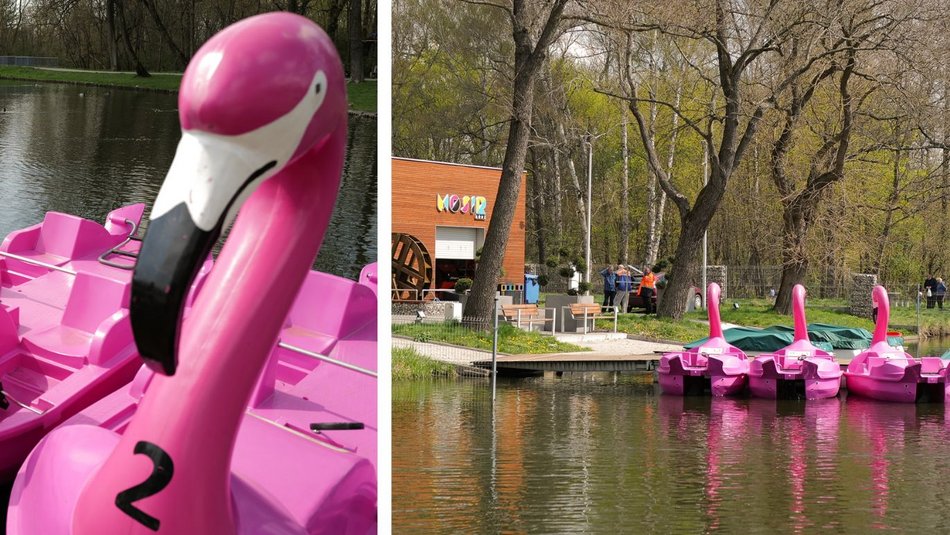 przystań z pływającymi flamingami