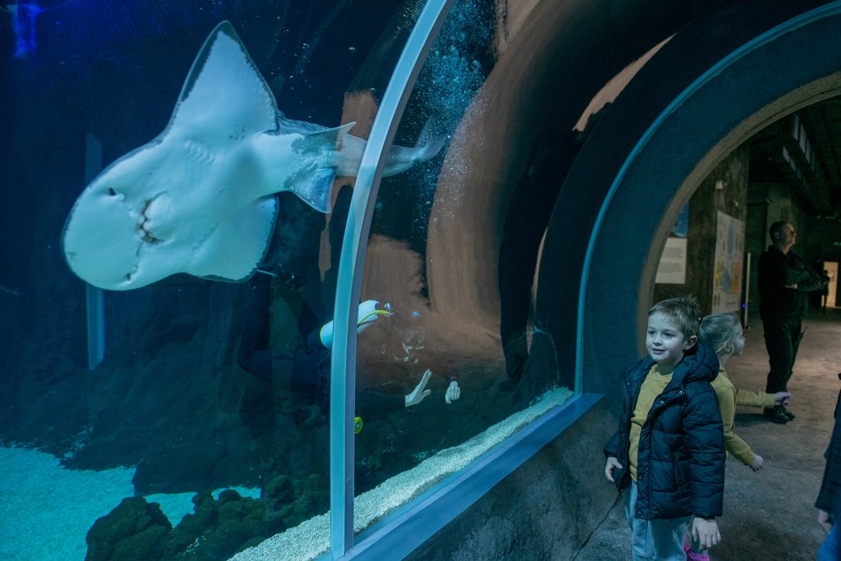Podwodny świat w Orientarium Zoo Łódź