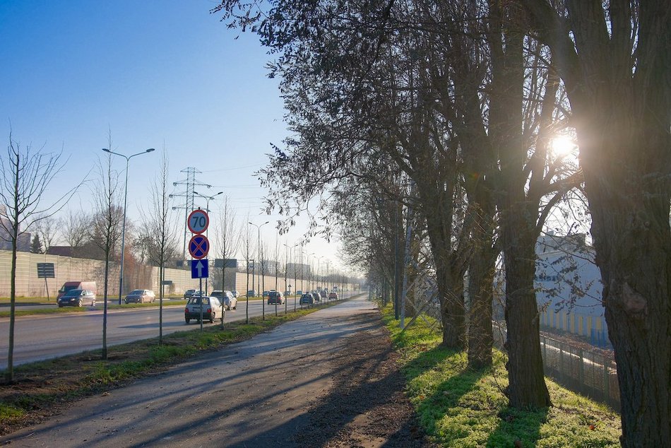 Łódź. Zielona metamorfoza Włókniarzy