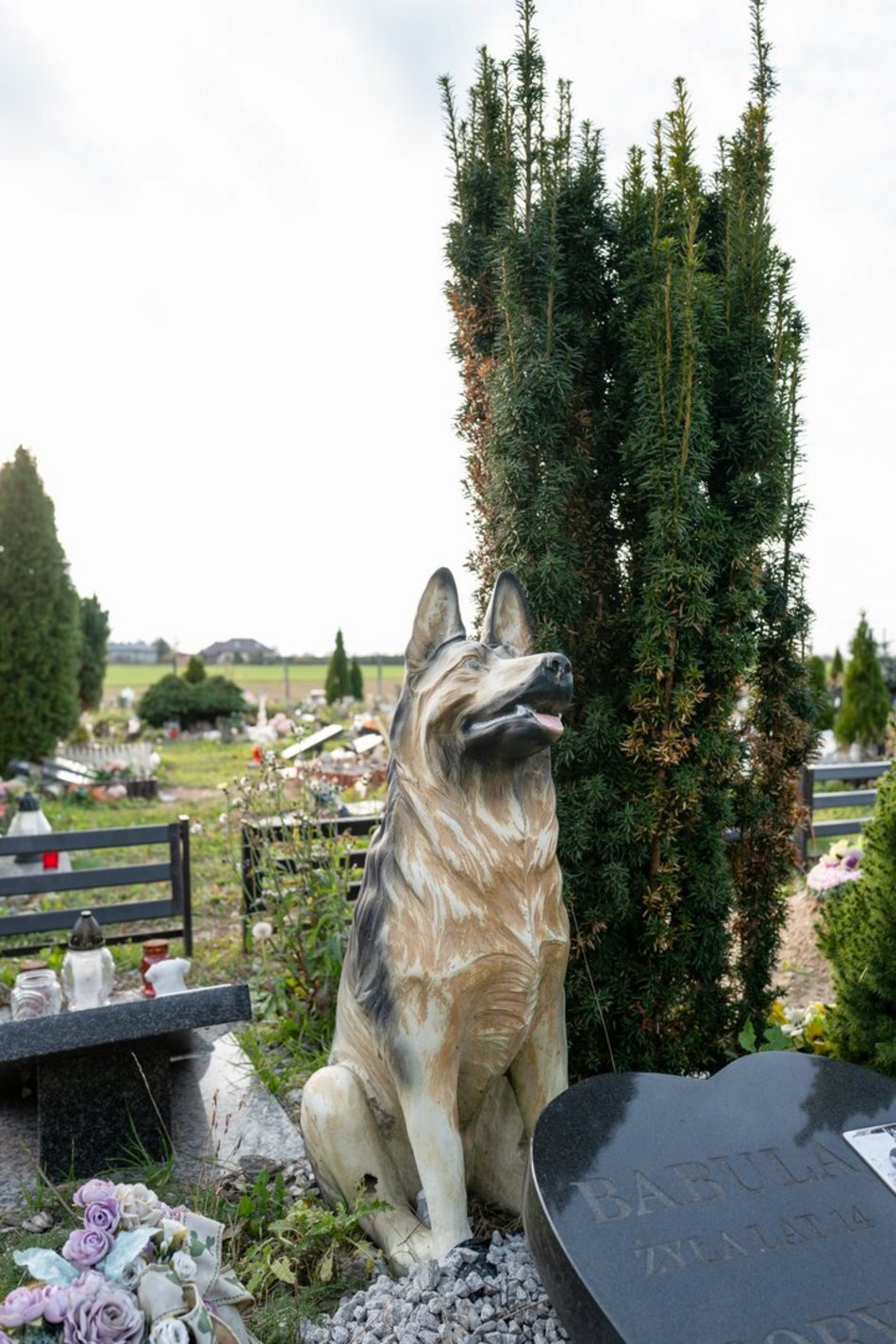 Cmentarz dla zwierząt w Łodzi