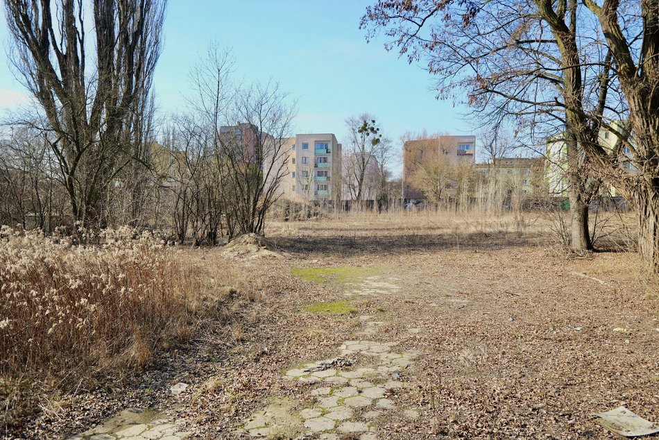 Łódź. Teren przy ul. Harcerskiej w Łodzi