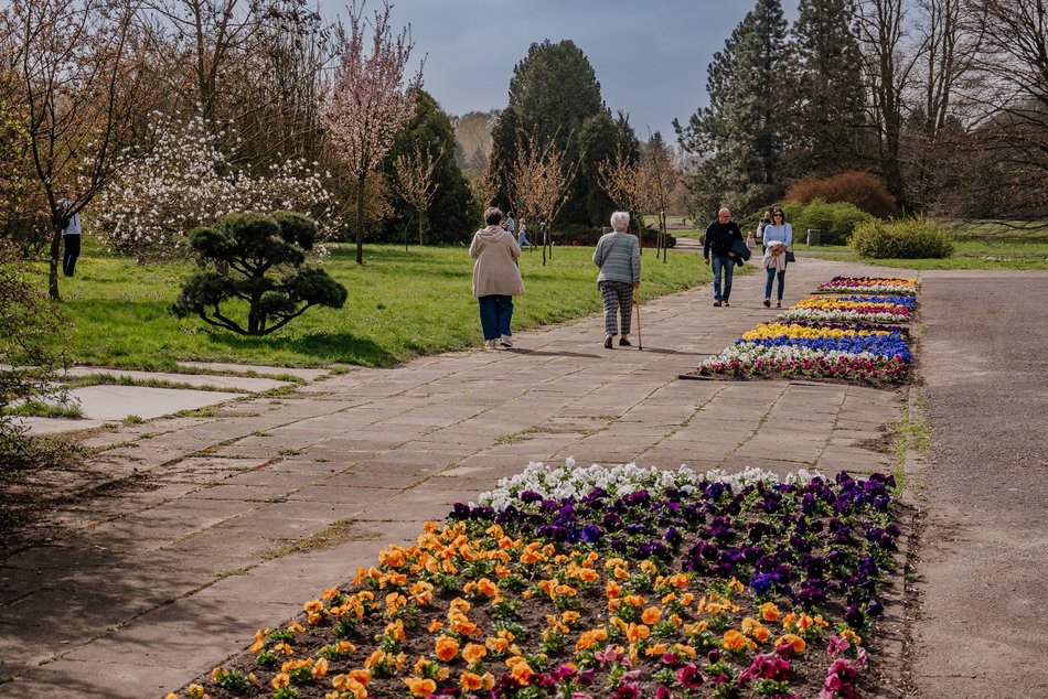 Łódź. Ogród Botaniczny w Łodzi gotowy na wiosenny sezon spacerowy. Kiedy otwarcie?
