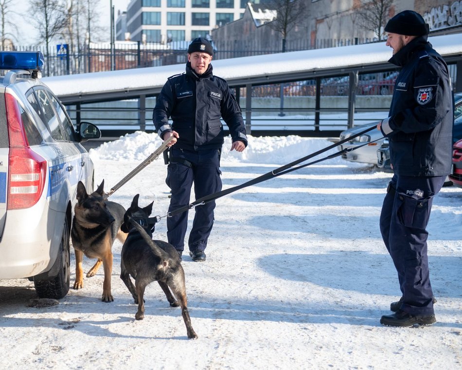 Dwa psy służbowe zasiliły szeregi Komendy Miejskiej Policji w Łodzi