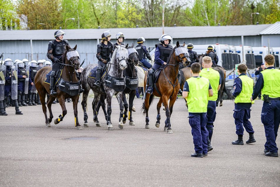 Łódź. Zwierzęta Straży Miejskiej na szkoleniu
