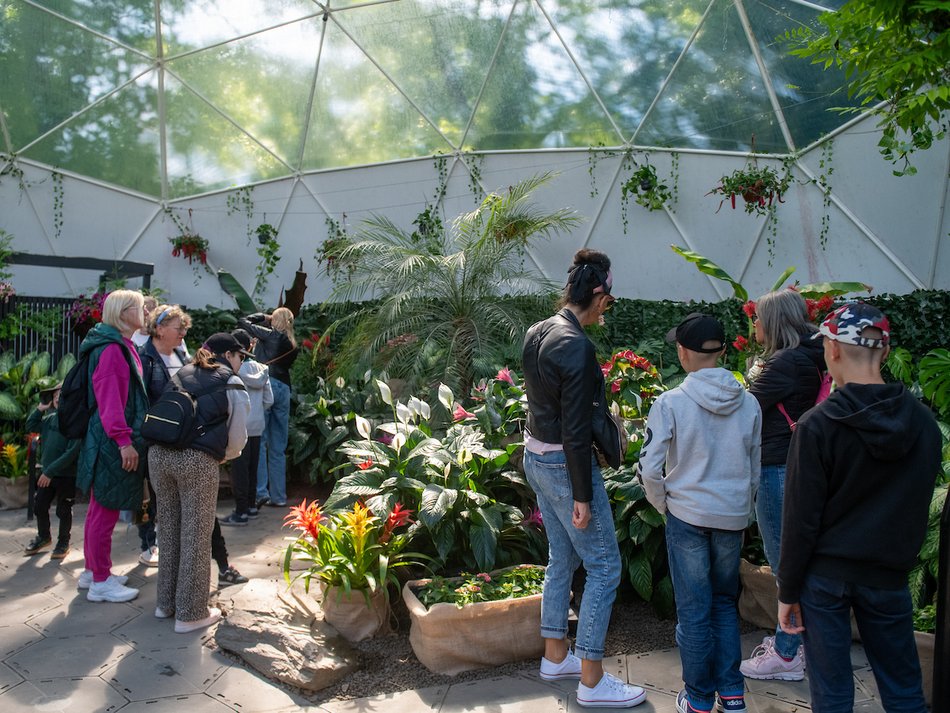 Łódź. Motylarnia w Orientarium Zoo Łódź już otwarta! Zobacz najpiękniejsze motyle świata