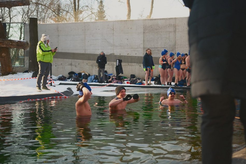Łódź. Miłośnicy zimnych kąpieli w Orientarium Zoo Łódź