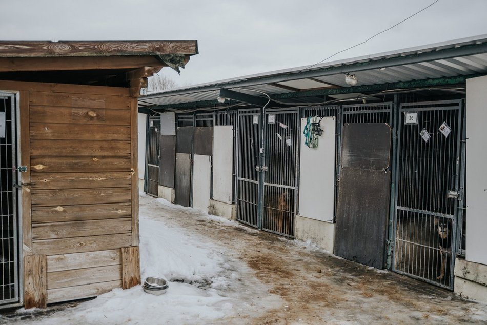 Łódź. Wielka metamorfoza schroniska w Łodzi