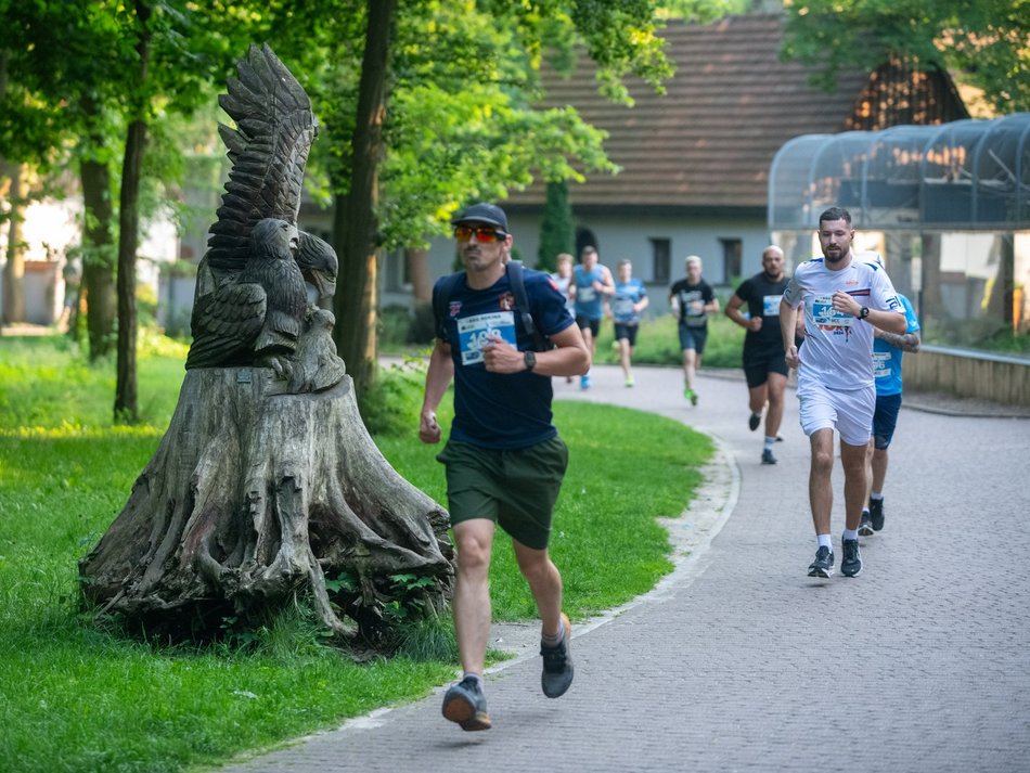 Bieg Rekina w Orientarium Zoo Łódź