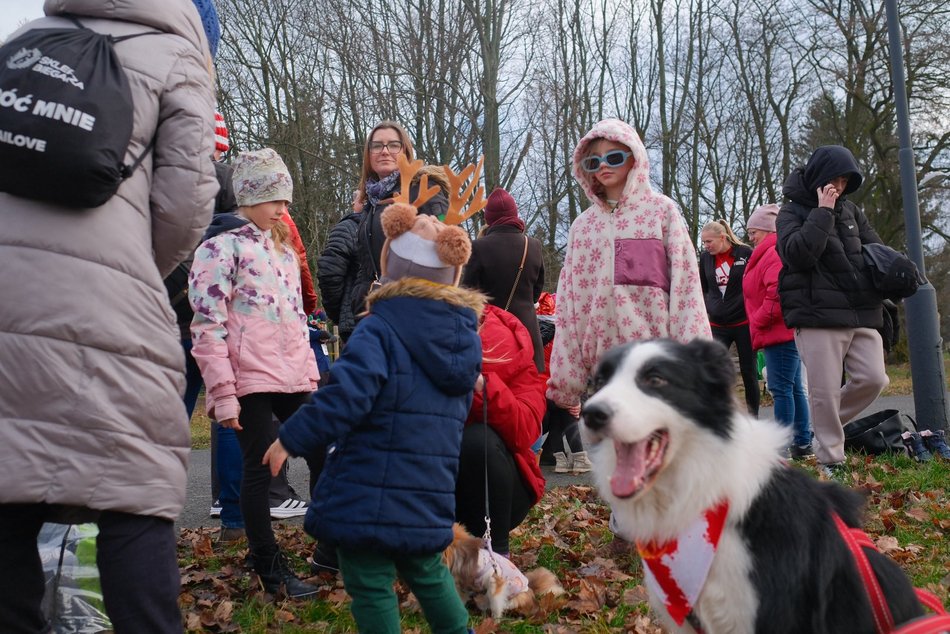Łódź. Świąteczny bieg w parku Baden-Powella w Łodzi. Wspaniała atmosfera z nutą rywalizacji