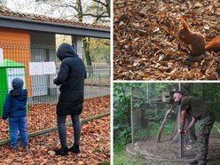 Na pomoc, wiewiórkom, kaczkom i innym słodziakom! Jak zadbać o dzikie zwierzęta w Łodzi?