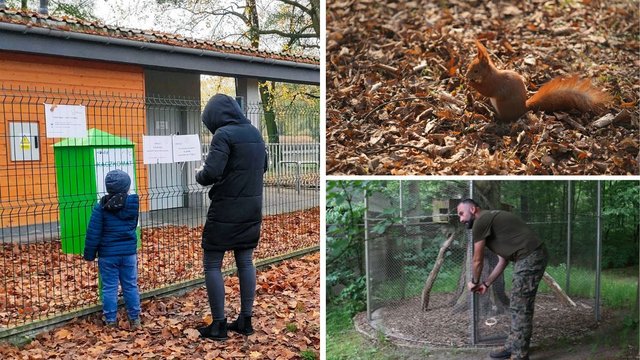 Na pomoc, wiewiórkom, kaczkom i innym słodziakom! Jak zadbać o dzikie zwierzęta w Łodzi?