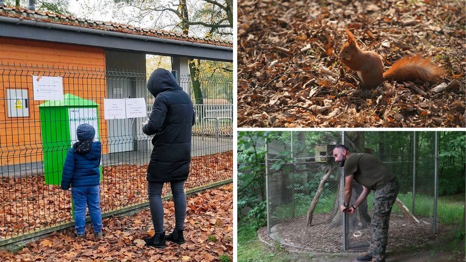 Na pomoc, wiewiórkom, kaczkom i innym słodziakom! Jak zadbać o dzikie zwierzęta w Łodzi?