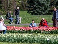 Łódź. Akademia Różnorodności w Ogrodzie Botanicznym w Łodzi. W planie warsztaty i relaksujący spacer