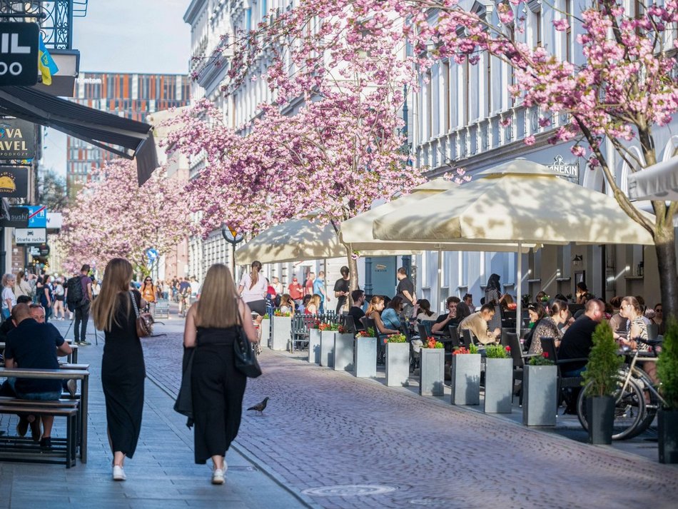 Łódź. Woonerf na ul. Traugutta w Łodzi