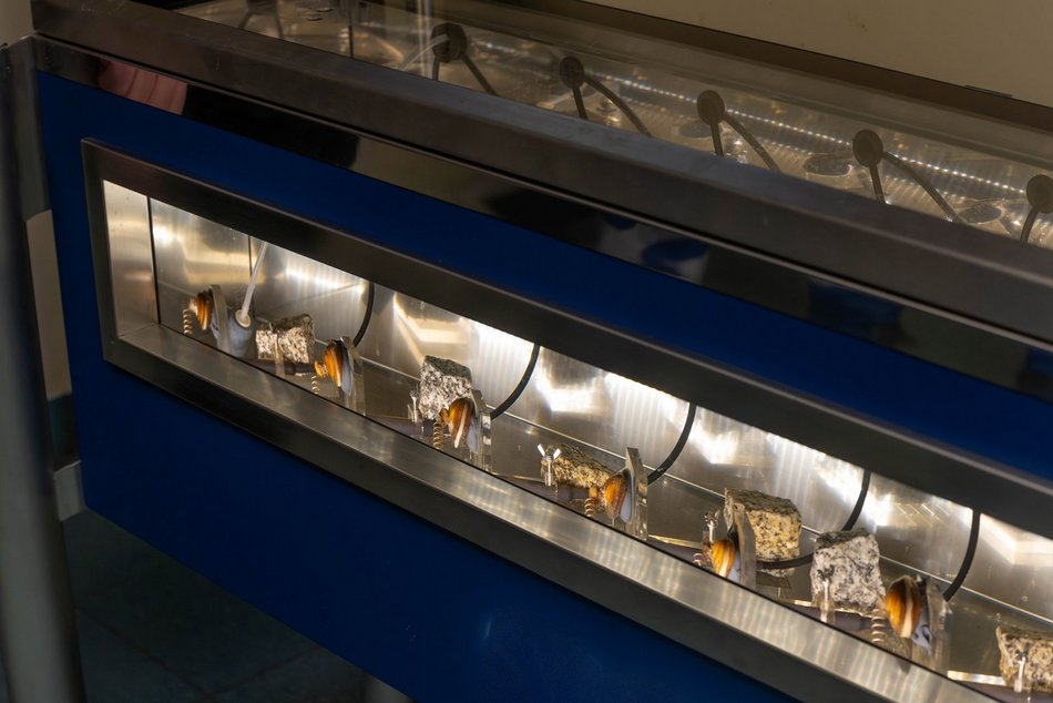 Łódź. Aż 56 nowych pracowników w ZWiK Łódź. Czym się zajmują tajemniczy bohaterowie?