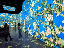 Multisensoryczna wystawa van Gogha. Zanurz się w świecie obrazów!