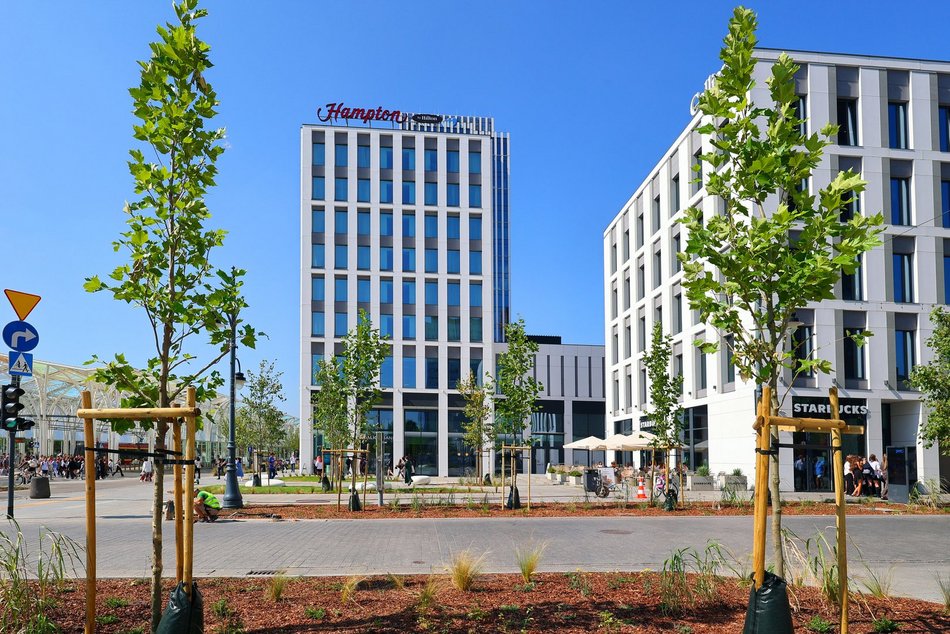 Plac przy kawiarni Starbucks w centrum Łodzi odżywa! Tyle tam zieleni!