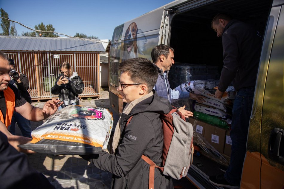 Masa karmy przyjechała do schroniska w Łodzi! W trosce o małe łakomczuchy