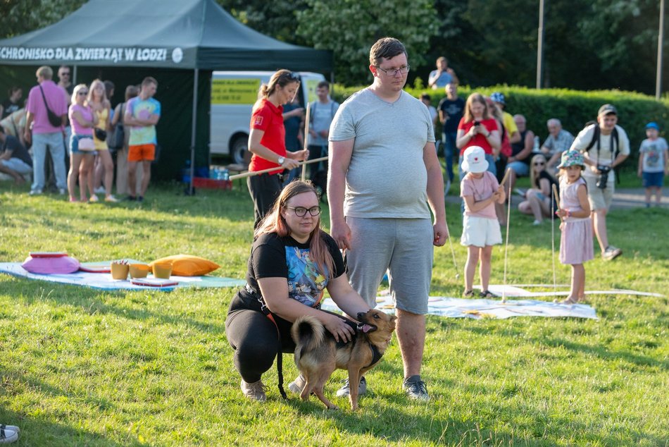 Łódź. Psia Polówka na Widzewskiej Górce. Psiaki przejęły dowodzenie!