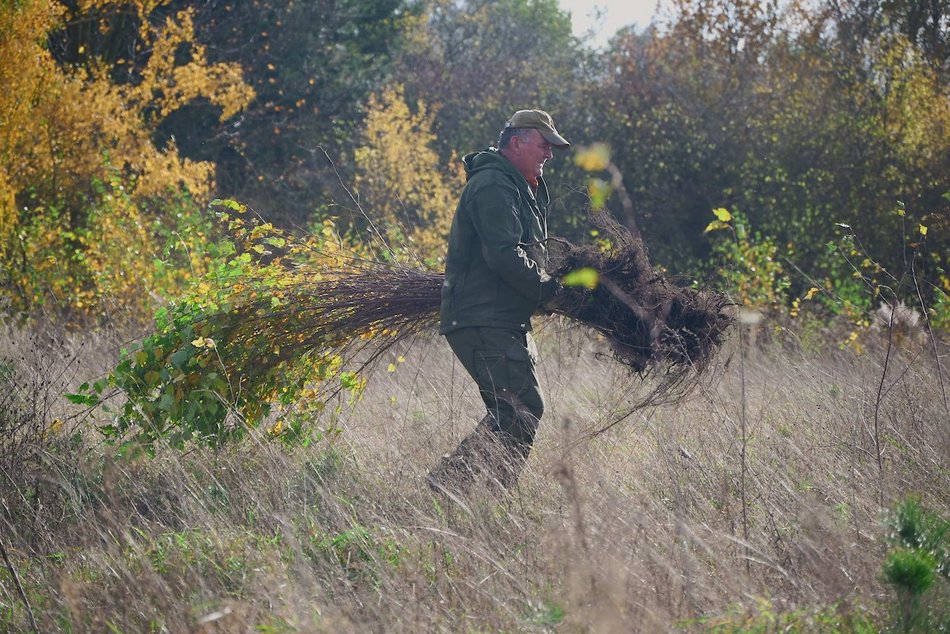 Łódź. Przybędzie aż 15 tysięcy nowych drzew