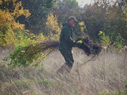 Łódź. Przybędzie aż 15 tysięcy nowych drzew